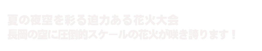 長岡まつり大花火大会