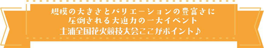 土浦全国花火競技大会ご紹介