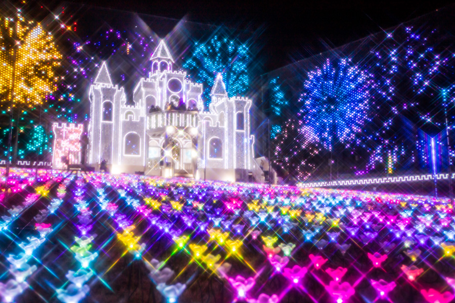 イルミネーションバスツアー