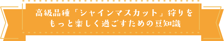 シャインマスカット狩りを楽しむ豆知識