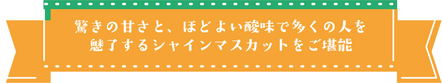 シャインマスカット