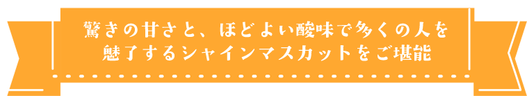 シャインマスカット